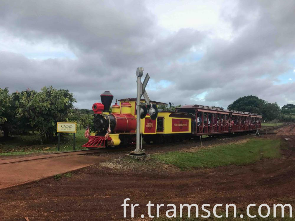 Aloha Express Train 1